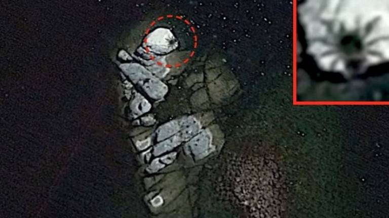 Una "araña gigante" fue encontrada con Google Earth