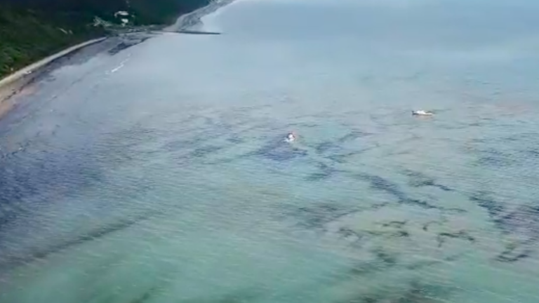 Derrame de petróleo en la playa Las Palmas en Esmeraldas: ¿Por qué se produjo el incidente?