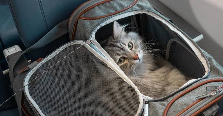 $!La decisión del Tribunal de Luxemburgo podría tener repercusiones en futuros litigios.