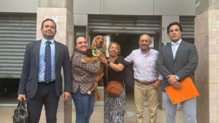 Capuccino volvió con sus abuelos: esta fue la resolución del juez en Daule