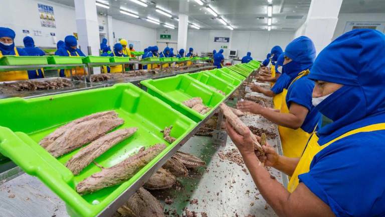 La lista de desafíos del sector atunero se mantiene, a pesar del buen ritmo de sus exportaciones