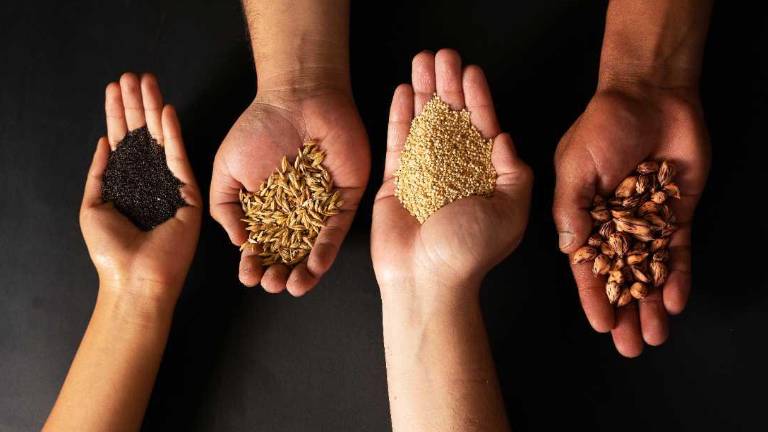 Ecuador envió 800 muestras de semillas a la Bóveda del fin del mundo