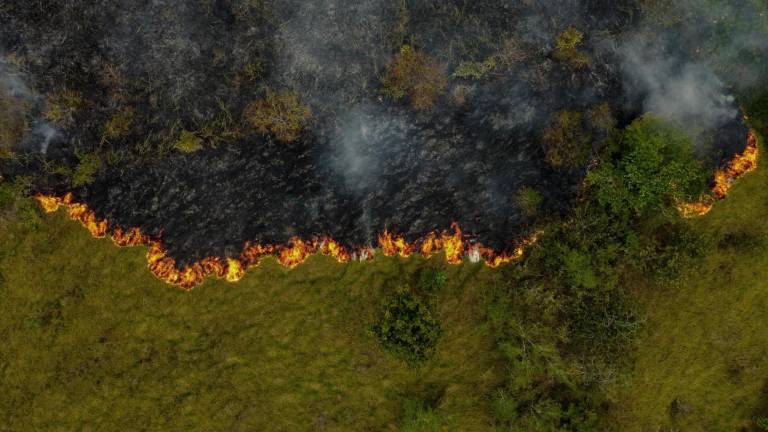 El humo de los incendios ilegales iniciados por agricultores se eleva en Manaquiri, estado de Amazonas, el 6 de septiembre de 2023.
