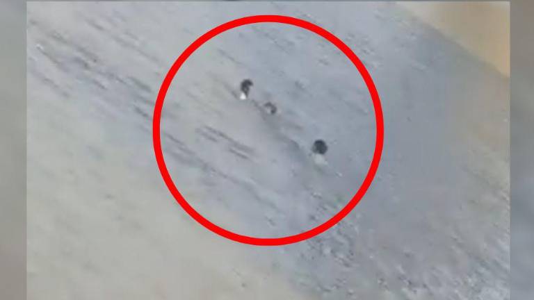 Durán: dos estudiantes están desaparecidos tras ahogarse en un río