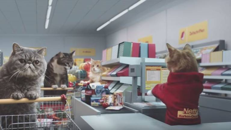 Un comercial de gatos en un supermercado se vuelve viral