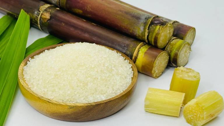 Así se produce el azúcar en Ecuador: tecnología y control en cada etapa