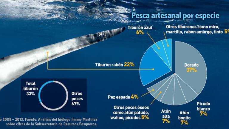 La incontrolable pesca incidental de tiburones