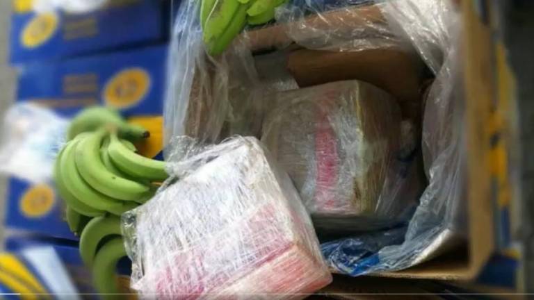 Países Bajos localiza cocaína en un cargamento de bananos de Ecuador: es el hallazgo de droga más grande en el año