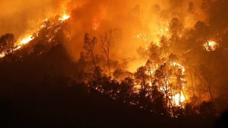 Gigantesco incendio en California lleva 1 mes activo y ha quemado 1 millón de acres