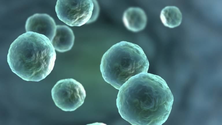 Crean una célula que expande posibilidad de vida sintética