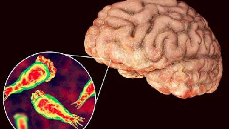 “No tomar agua de la llave”, advierten en Texas por ameba 'comecerebros'