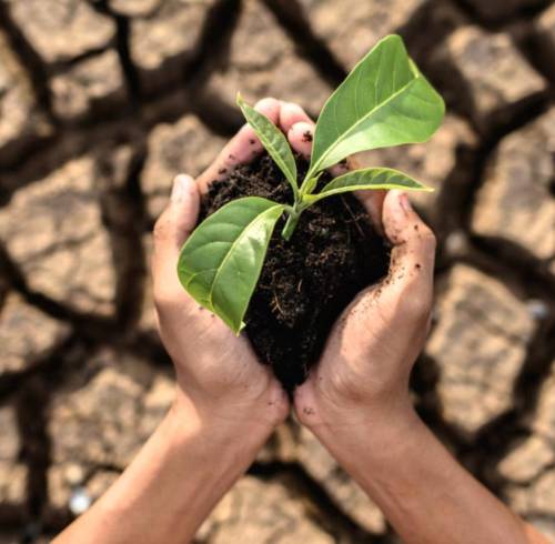 Fotografía referencial de cambio climático.
