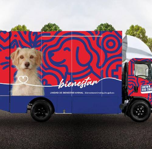 La UBA busca perros y gatos para ser la imagen de sus nuevas unidades móviles de esterilización