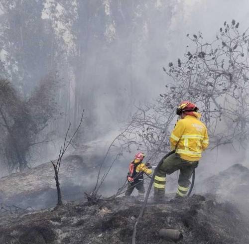 Cerca de 60 efectivos y 14 vehículos se movilizaron para controlar el incendio de La Vicentina e Itchimbía.