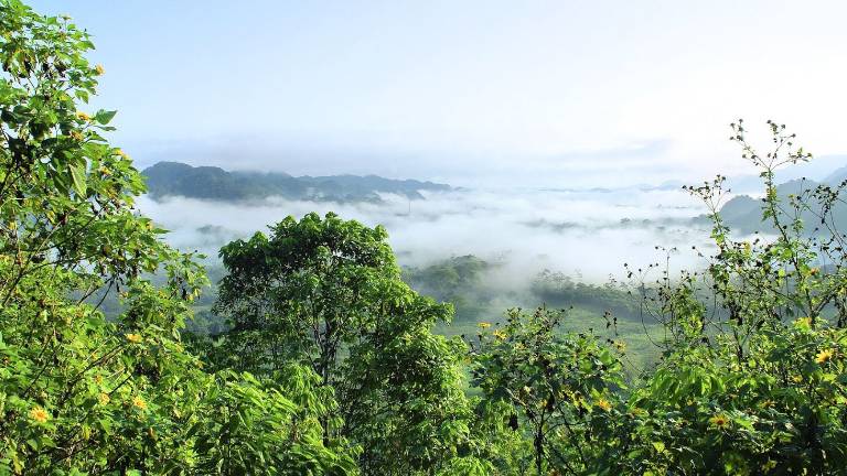 Brasil niega incendios en la Amazonía