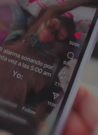 Fotografía referencial de una publicación que muestra a un mono retenido en una vivienda como mascota.