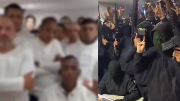 VIDEO sobre autoría del crimen de Fernando Villavicencio, reproducido por Rafael Correa, es falso