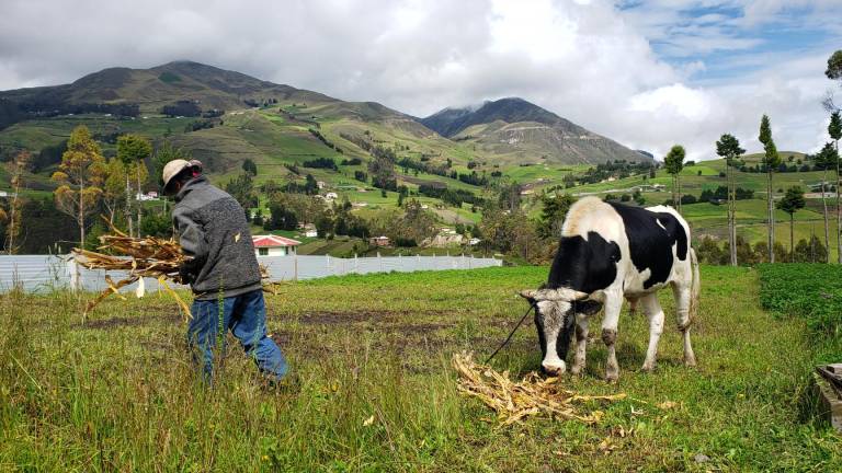Día Mundial del Clima: 'Ecuador es uno de los países más vulnerables al cambio climático'
