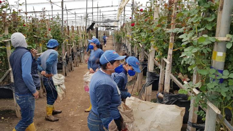 Ministerio de Trabajo emite instrucciones para la reducción &#039;emergente&#039; de la jornada laboral en Ecuador