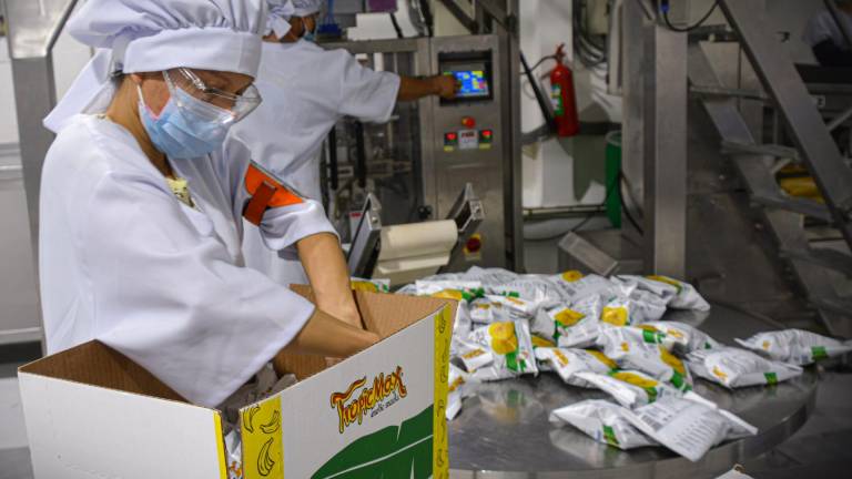 Productos ecuatorianos conquistan el mercado internacional