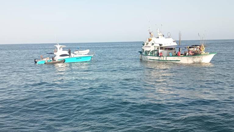 Detienen embarcaciones que iban hacia Galápagos con mercancía ilegal: perros, gallos y más