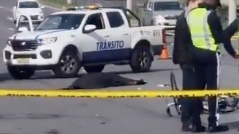 Estupor en Quito: ciclista murió atropellado en la Ruta Viva la mañana de este jueves 9 de octubre