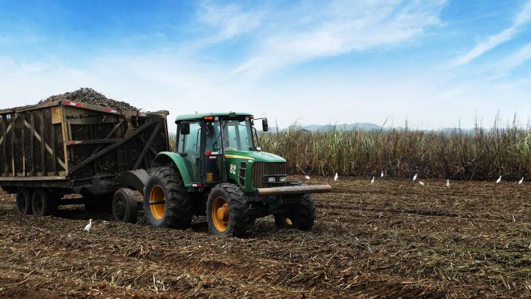 Tecnología, monitoreo y sostenibilidad: las claves del cultivo de caña de azúcar en Ecuador