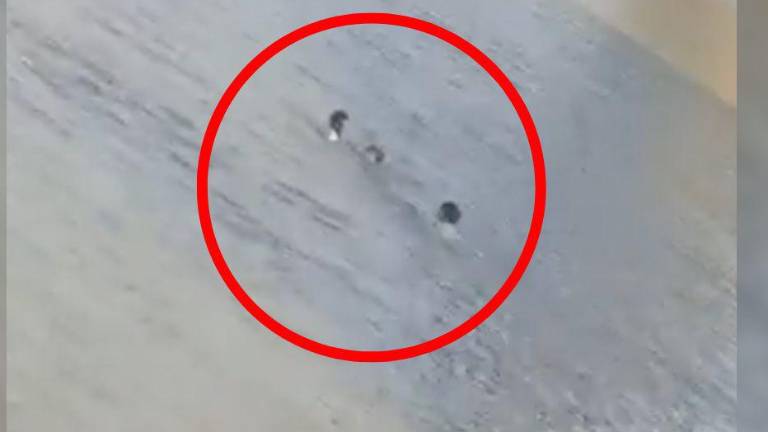 El momento en que tres estudiantes intentaban salir de un río en la provincia del Guayas.