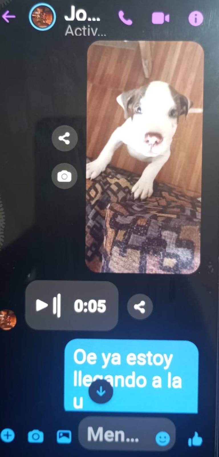 $!El mensaje con la foto del perro que iban a entregar en la Universidad Politécnica Salesiana.