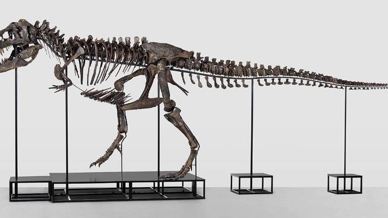 El tiranosaurio Trinity se subasta, ¿cuánto fue su valor?