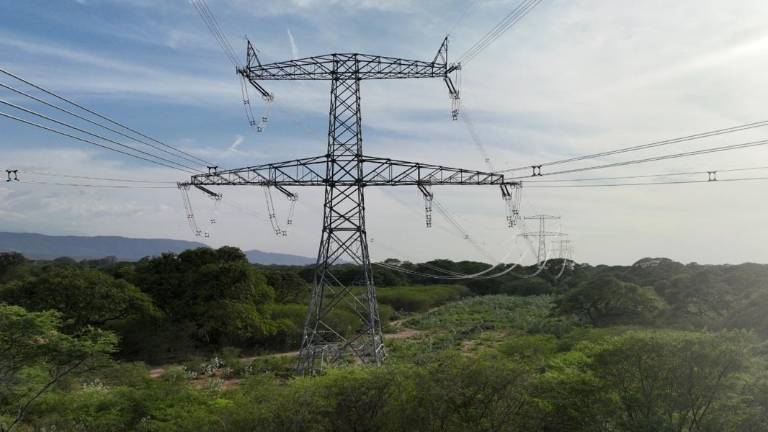 En 2024 Colombia exportó energía a Ecuador por un valor estimado de 329,1 millones de dólares.