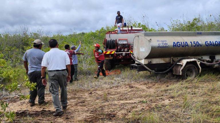 Un incendio afectó a media hectárea de bosque de manglar en Galápagos