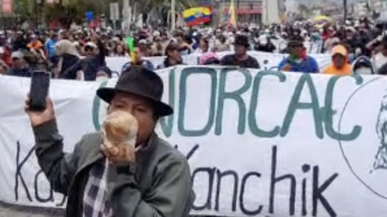 Ibarra: indígenas de Cotacachi realizan plantón en la Gobernación de Imbabura