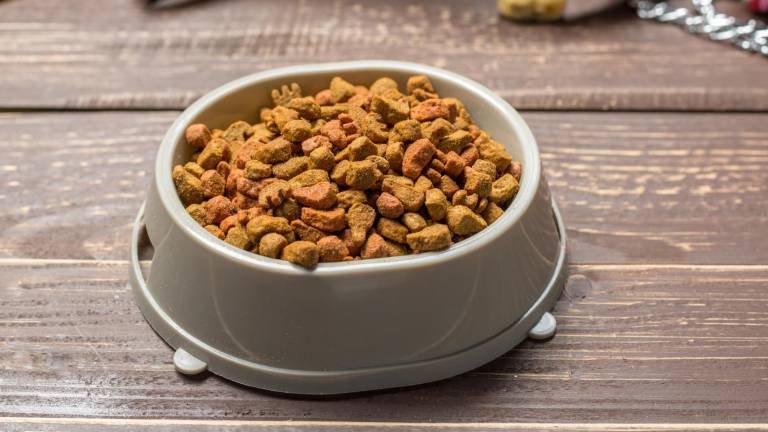 Eliminación del IVA para comida de mascotas en Ecuador: ¿Cuál será el impacto en las familias y la industria?