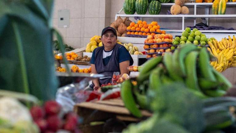 No es el pan ni el arroz: ¿En qué alimento gastan más los ecuatorianos?