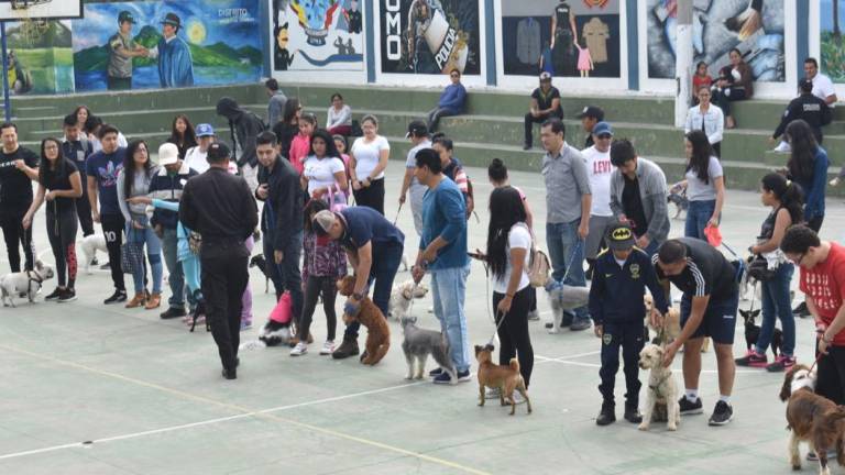 Policía ofrece curso gratuito de adiestramiento canino: así puede inscribirse hasta el 29 de mayo