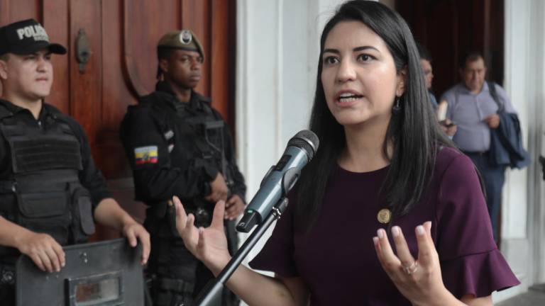 Exministra de Desarrollo Económico Sariha Moya es designa delegada ante el BID