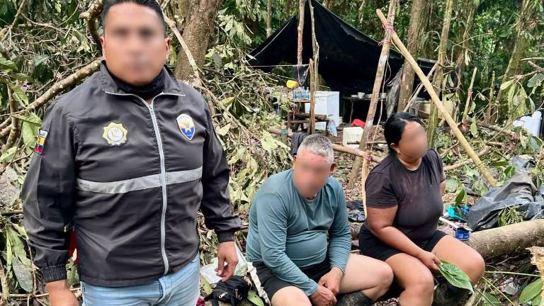 Alto Punino: cayeron nueve presuntos integrantes de los Comandos de la Frontera