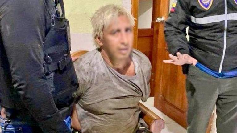 Colón Pico se escondía en una finca de cacao en Puerto Quito: esto se conoce sobre su detención