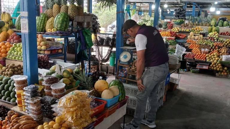 Alza del diésel: este es el link para denunciar especulación de precios