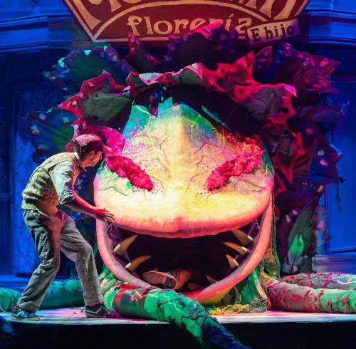 La historia combina humor negro, romance, ciencia ficción y música para narrar cómo una planta cambia la vida de un joven florista.