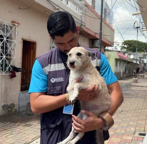 Personal de ProAnimal junto al perro retirado en Sauces 5.