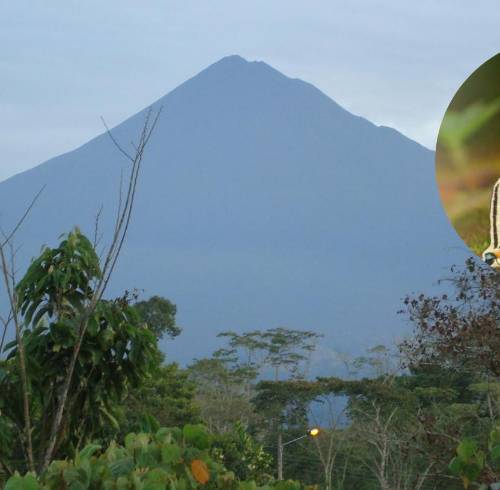 Estas 151 especies representan solo una parte de la diversidad existente en la zona.
