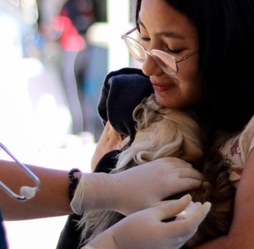 Una médico veterinaria vacunando a un perro.