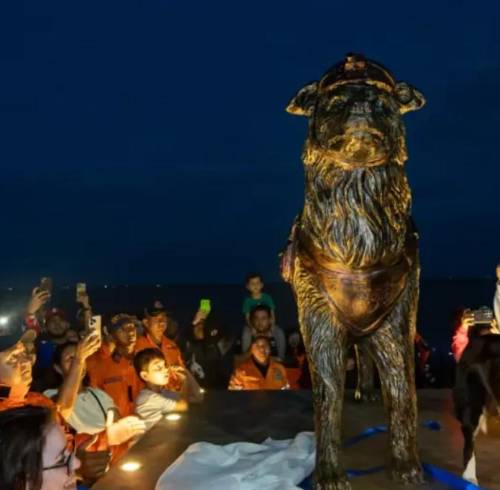 Estatua de ´Tsunami´ el perro rescatista de Venezuela.