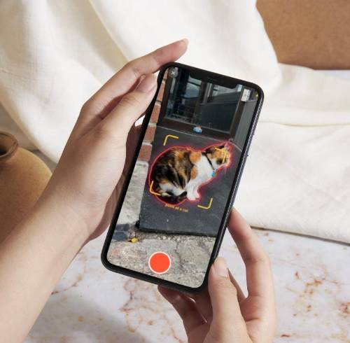 Imagen referencial de la app Cat Collector.