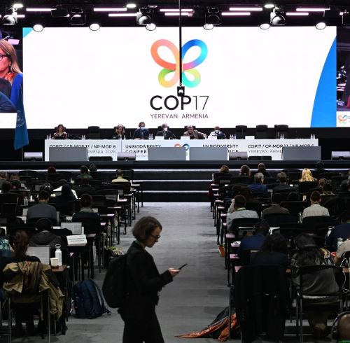 Fotografía de la ceremonia de apertura de la COP17 de Biodiversidad, realizada en Armenia.