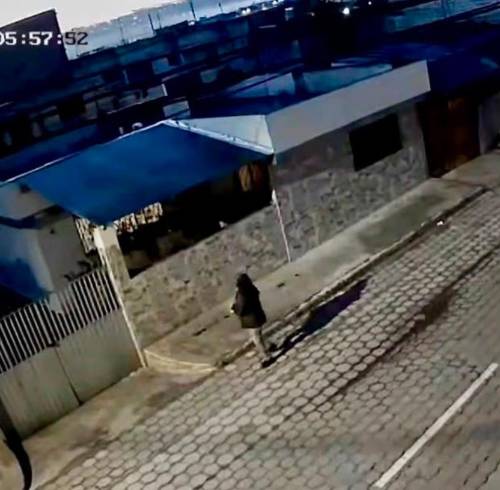 Investigan presunto envenenamiento masivo de animales por disputas personales al sur de Quito