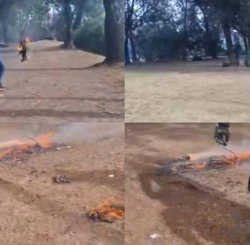 Capturas de pantalla de la detención de sujeto incendiando cables en Quito.