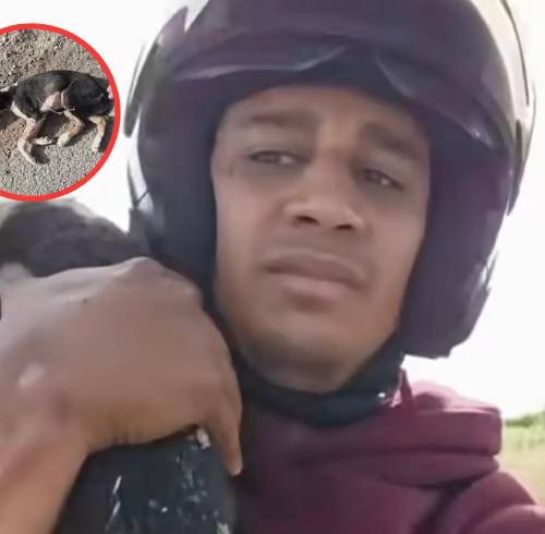 Sentencian con ocho meses de prisión a conocido youtuber por consumir un perro en Marruecos